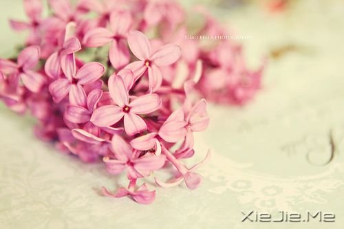 晚安心语:生活就是生下来,活下去 (7)