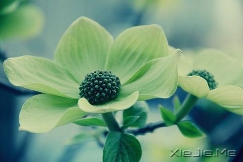 �簲�����ֻ��Ц�ĺܻ������˲Ų��ᱻ���� (3)