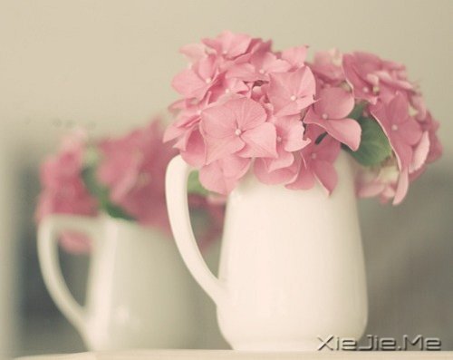 早安心语:就算世界荒芜,也总有一个人是你的信徒 (3)