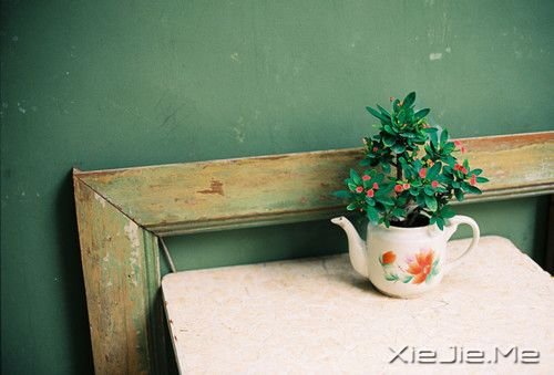 ����������������ĵط������᲻�� (7)