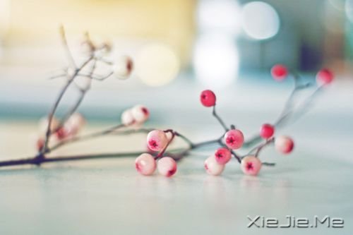 晚安心语:给自己多一点点的温情 (5)