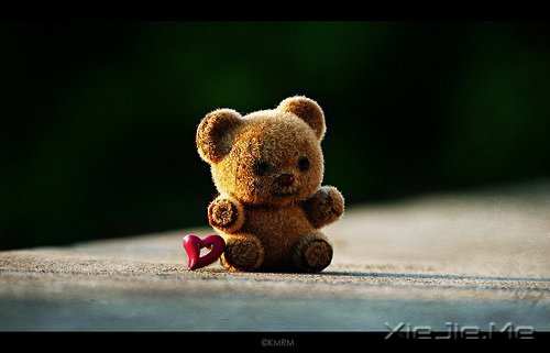 晚安心语:只怕心老,不怕路长 (1)