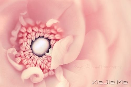 晚安心语:别忘了最初的自己 (9)