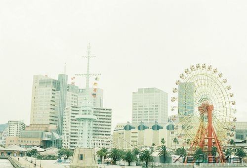 早安心语:情绪可以控制,但眼泪不会撒谎 (5)