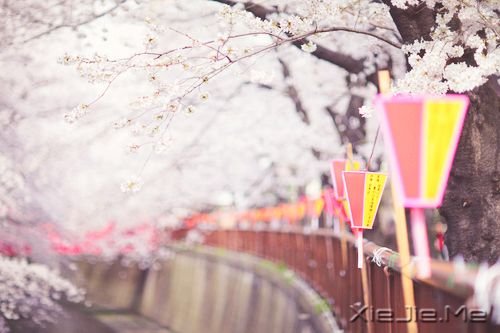 晚安心语:独走的路,是最美的风景 (2)