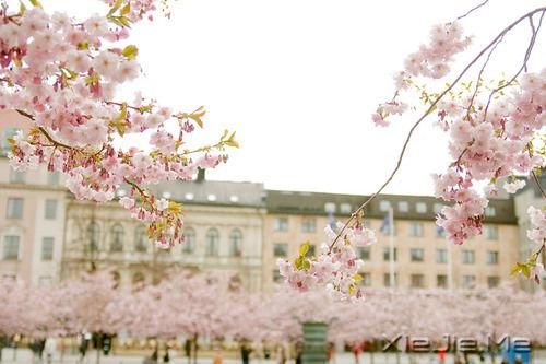 早安心语:请别伤我的心,那里面住的是你 (7)