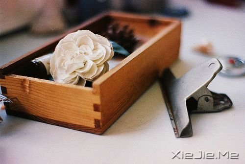 ��������������Ҫ��̫�࣬����Ż������ϲ (4)