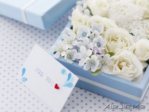 早安心语:挨得住多深的诋毁,就经得住多大的赞美 (6)