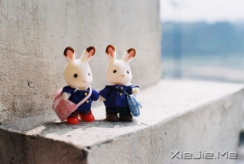 晚安心语:疼都是别人给的,但伤都是自己好的 (6)