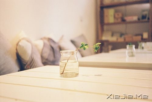 晚安心语:每个人的心里都潜藏着一条悲伤的河流 (9)