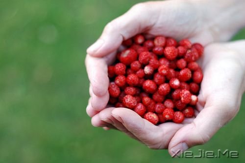 早安心语:不要苛求别人,也不要埋怨自己 (1)