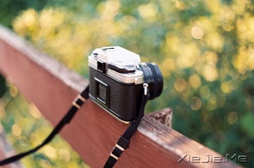 晚安心语:用最多的梦想面对未来 (3)