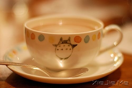 一时的成败得失对于一生来说,不过是来了一场小感冒 (10) 小清新图片 (10)