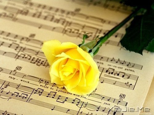 早安心语:用平和的心态来看待世间的一切 (8)