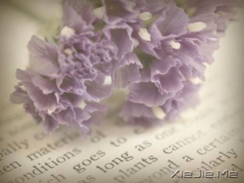 晚安心语:幸福的人在哪儿都幸福 (2)