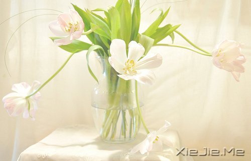 经典语录:与其埋怨世界,不如改变自己 (8)