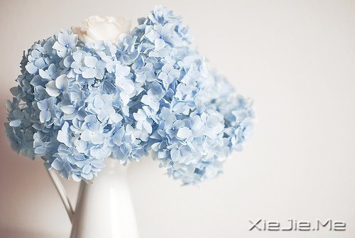 �͸�������Ȼ��������ǣ�������Ϊ��ʲô��