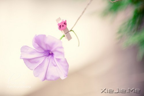 人生感悟:一位老人的九句话 (5)