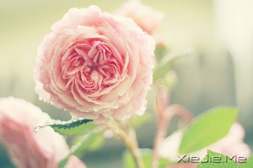 ���֣���˵������Ϊ�������һ��