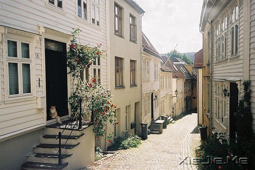 文字:一个人的精力是有限的