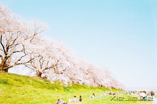 2014,用12个月来改变自己 (1)