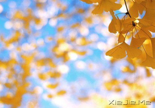 写人仅两笔,做人需一生 (10)