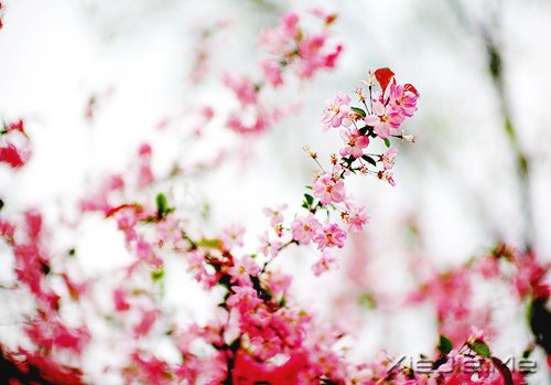 ������¼��50�������ľ��� (5)