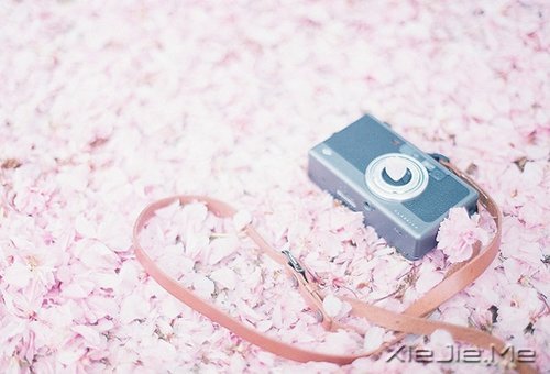 �Լ�ϲ�������ӣ��������������� (8)