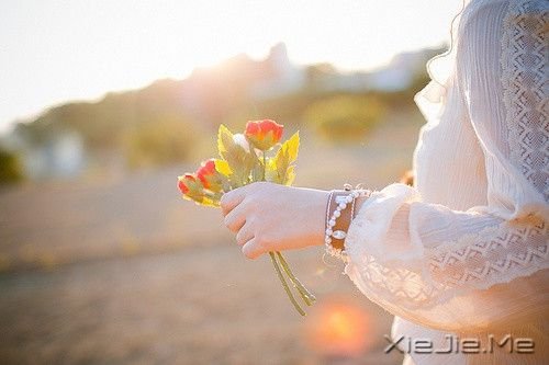 ��õĳɳ�����ֱ�渺���������ɵ�����