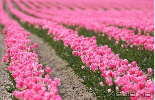 ������¼����ʲôҲ������������ (2)