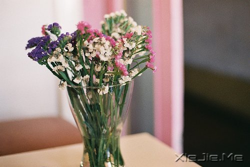 ���֣���ζ������ҩ (7)