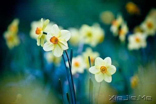 ��Ȼ���������ܣ�����ǰ����