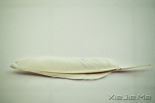 �Һ�������粻�� (6)