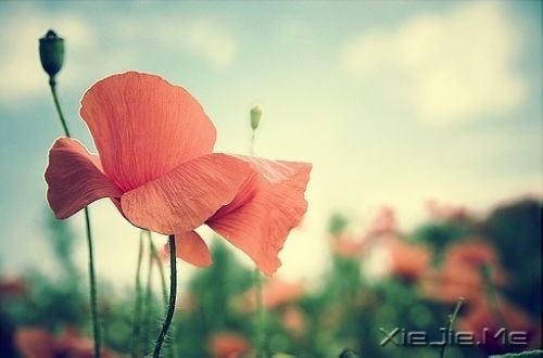 25�������ǻ���¼ (2)