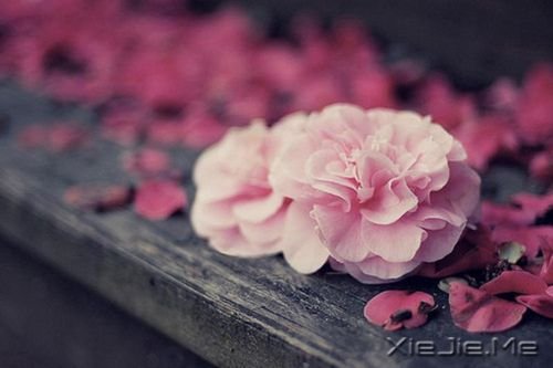 经典语录:20条经典人生感悟 (1)