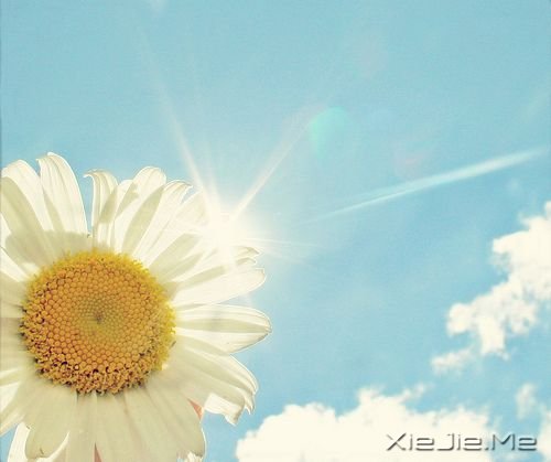 成功路上的十颗心 成功路上的十颗心