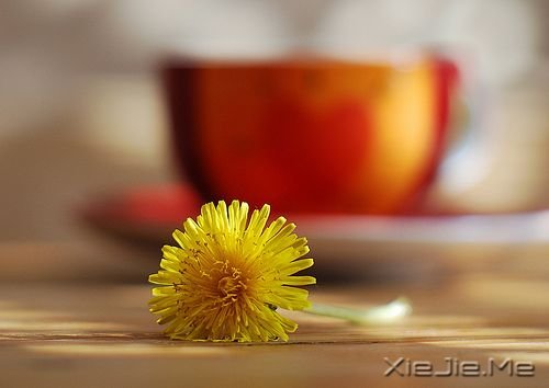 关于坚持的50条励志名人名言 (8) 小清新图片 (8)