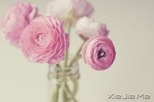 人生路上的50条经典语句 (4) 人生路上的50条经典语句 (4)