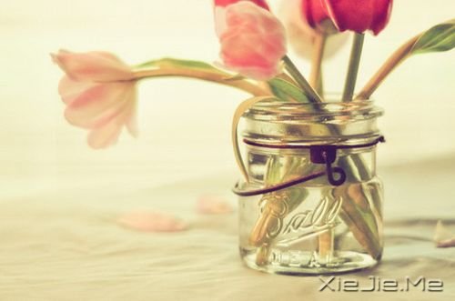 �����Ҵ��ݵ�Ʒ������������ζ