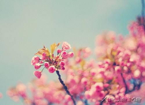 һ���˳ɹ������Ҫȡ����������̬